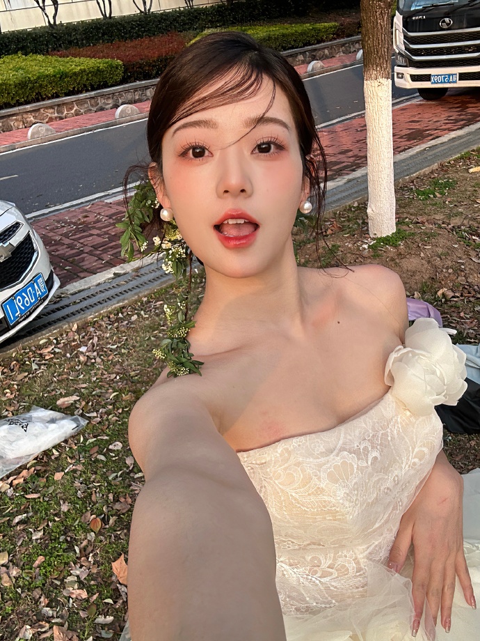凤蝶